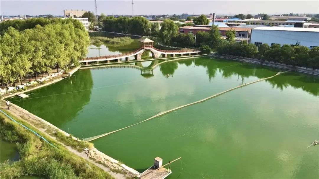 长葛最近小吃摆摊消息,长葛人民路夜市人气爆棚