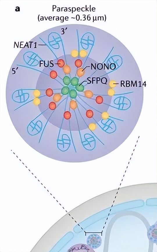 nature最新论文,nature论文最新发现