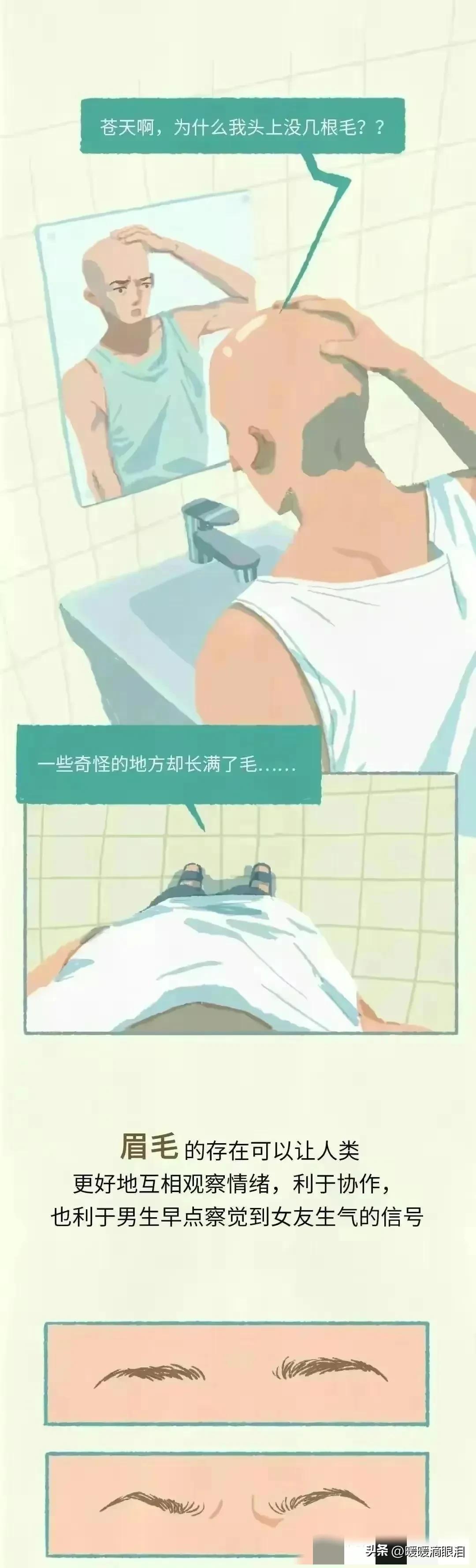 人类的毛发为什么是鳞片状,人类的毛发都是黑色的吗