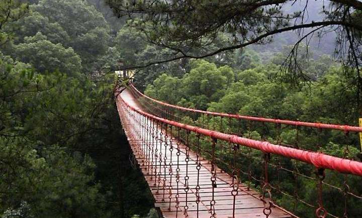 重庆旅游攻略五日游大概多少钱,重庆旅游3-4天亲子游攻略最佳线路