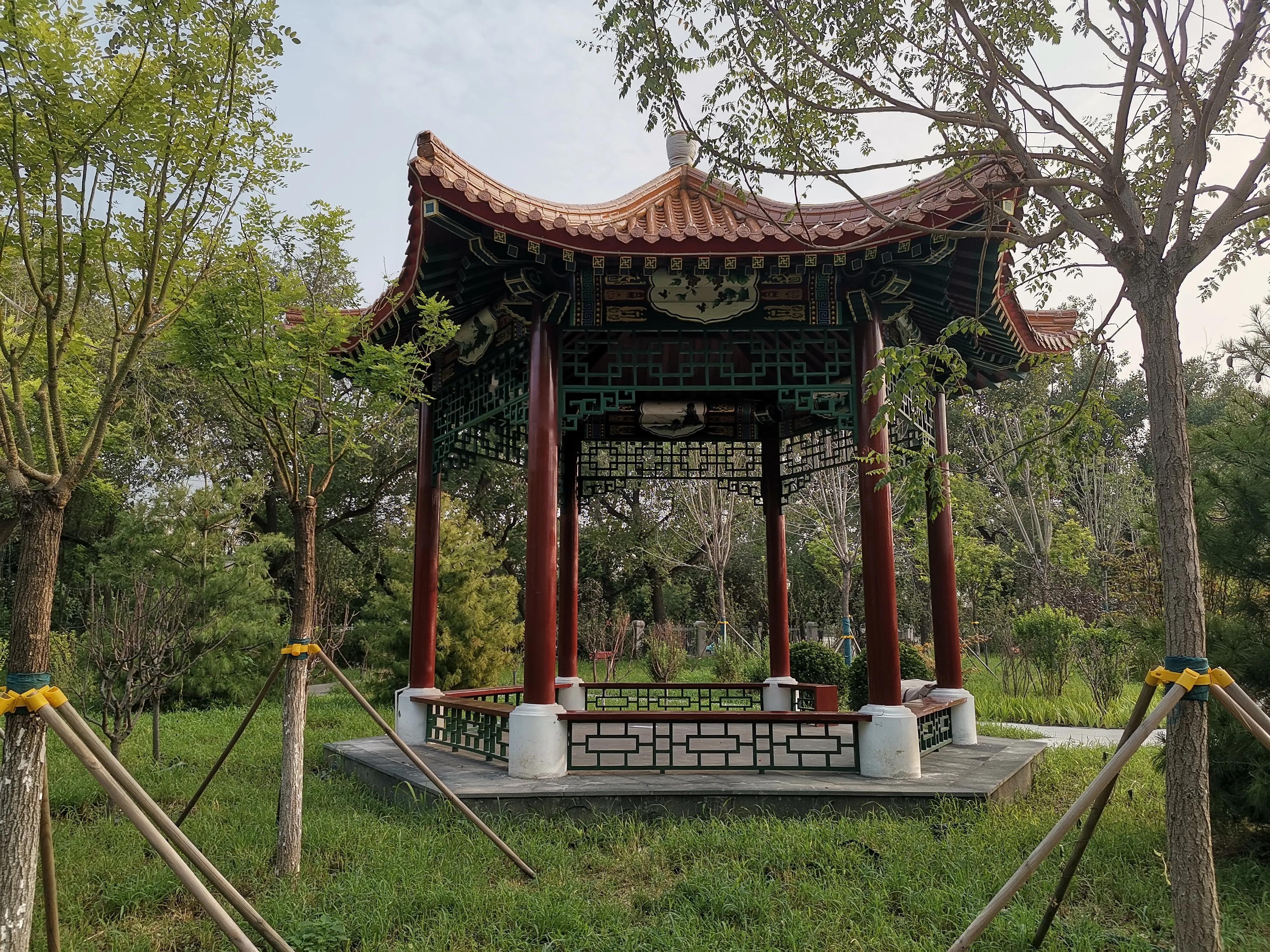 天津适合健身的公园,天津全民健身日