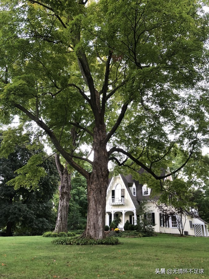 美国纽约东部游介绍,美国东部旅游感受