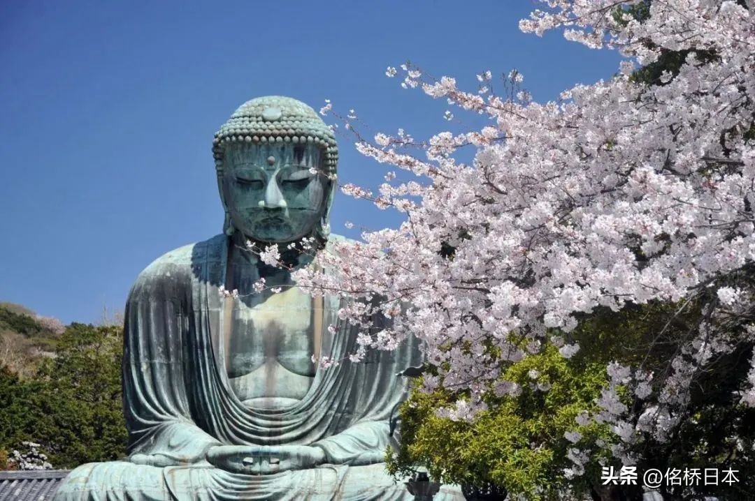 在最浪漫的时节抵达日本会变得幸运呢