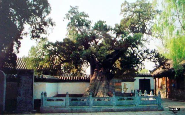 跟着走遍中国去旅游,跟着老唐环游中国