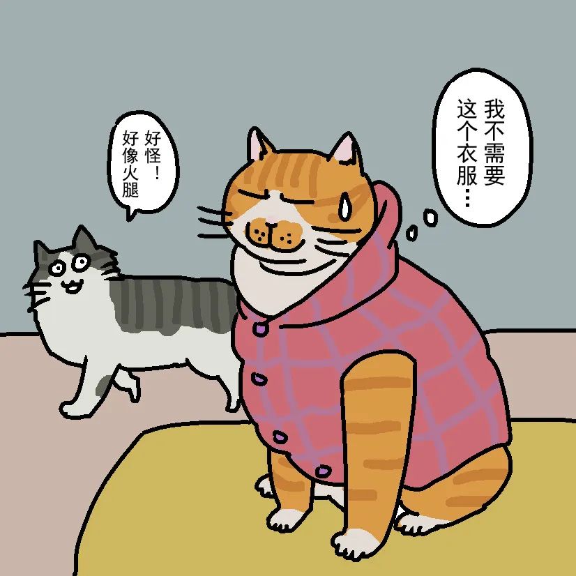 冬天猫咪怕冷吗该怎么给猫咪保暖 (怎么给猫咪穿衣服不掉毛)