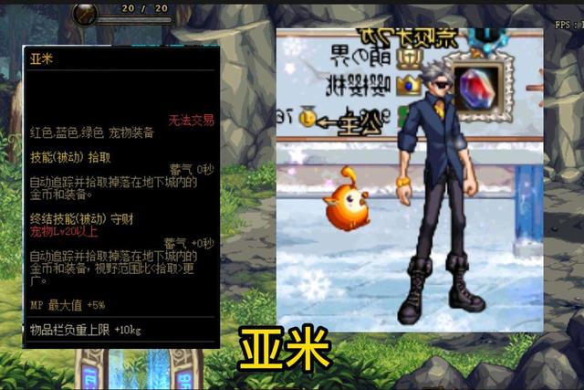 dnf最强宠物排行榜前十名,排名前列的dnf宠物有哪些特点