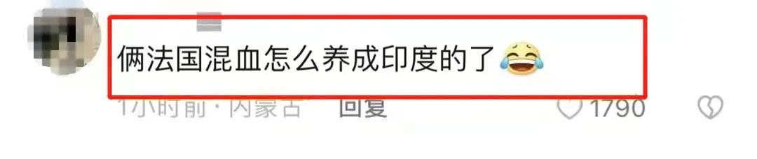 刘烨老婆老狼,刘烨法国老婆近照曝光