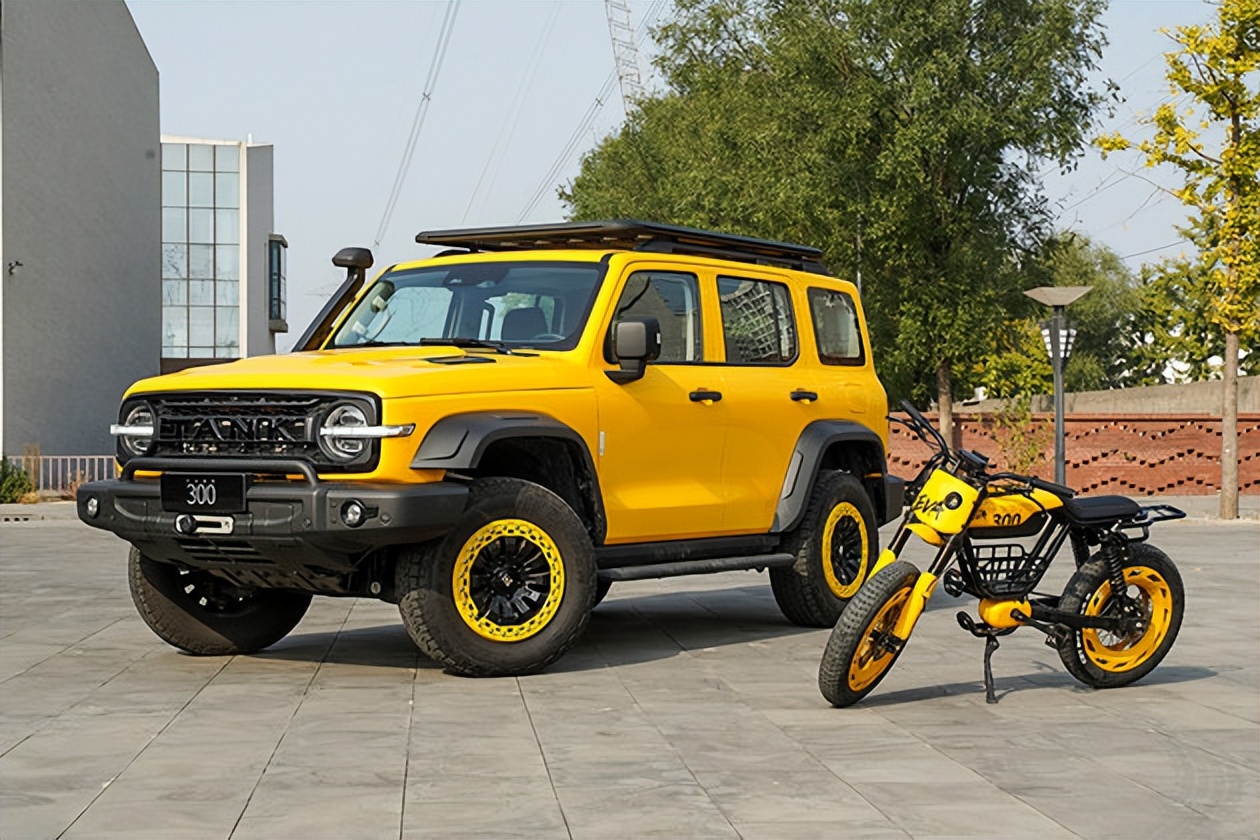 坦克300自行车测评,坦克300边境限量版自行车