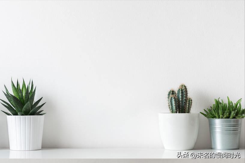 在家怎样制作可以赚钱的副业,老年人在家赚钱简单的副业