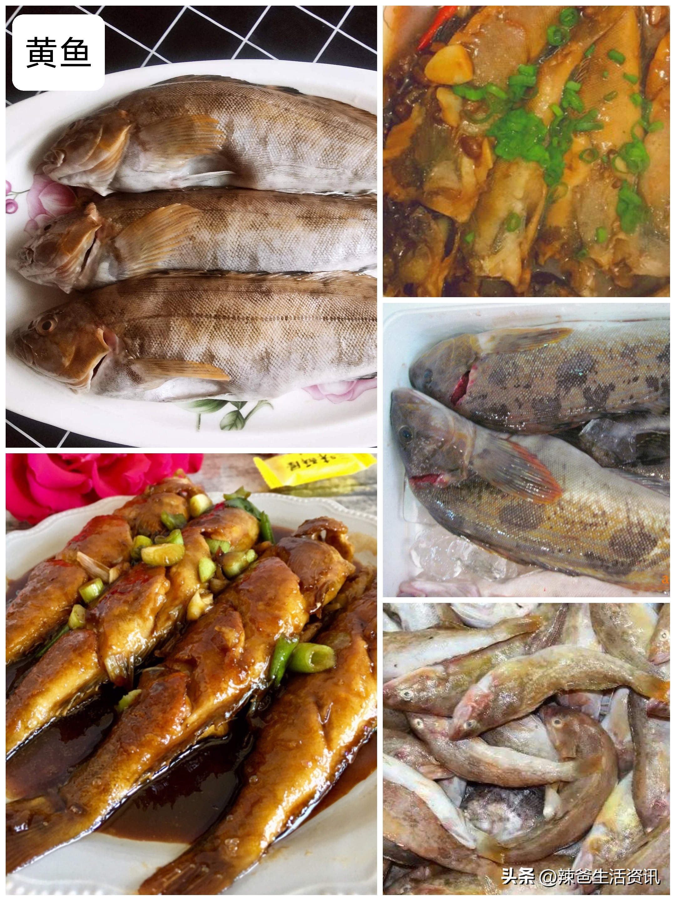 好吃的常见海鱼,比较好吃又便宜的海鱼有哪些