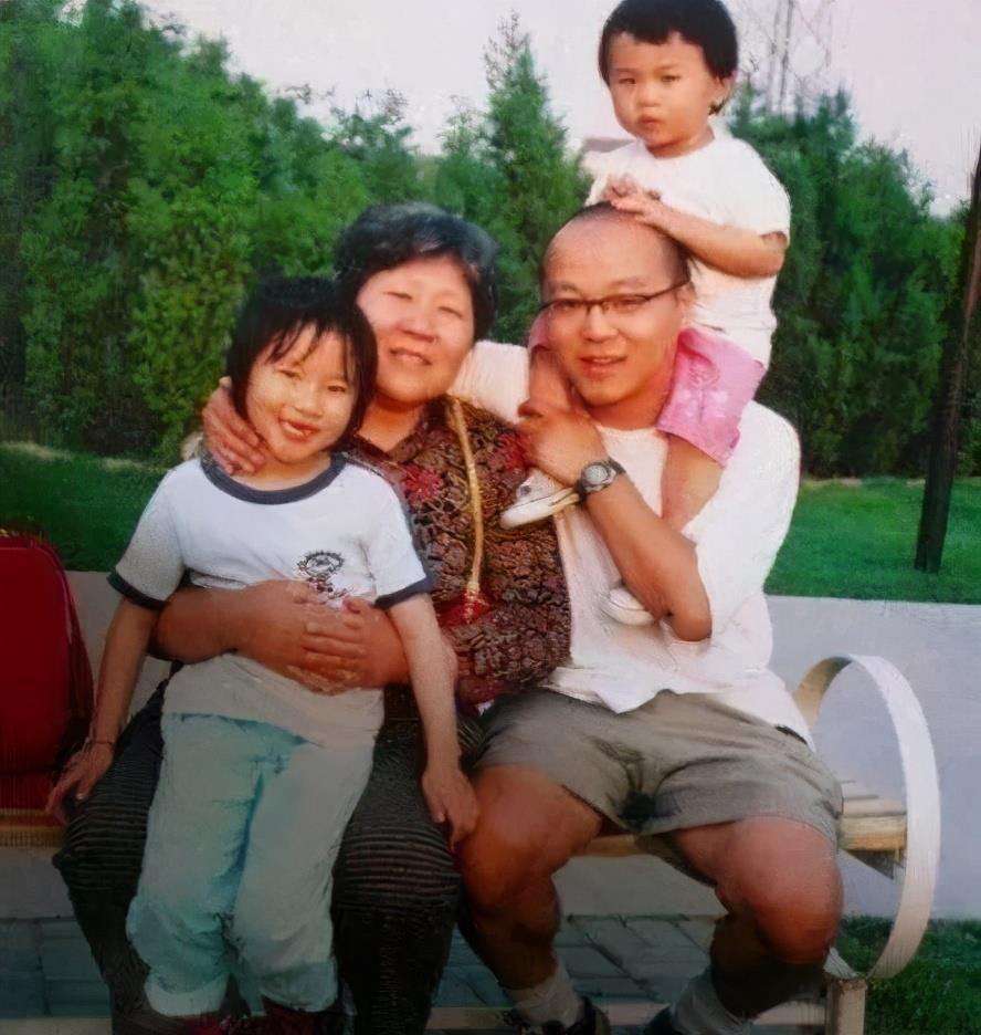 窦唯评论王菲和高原谁好,王菲窦唯栾树高原