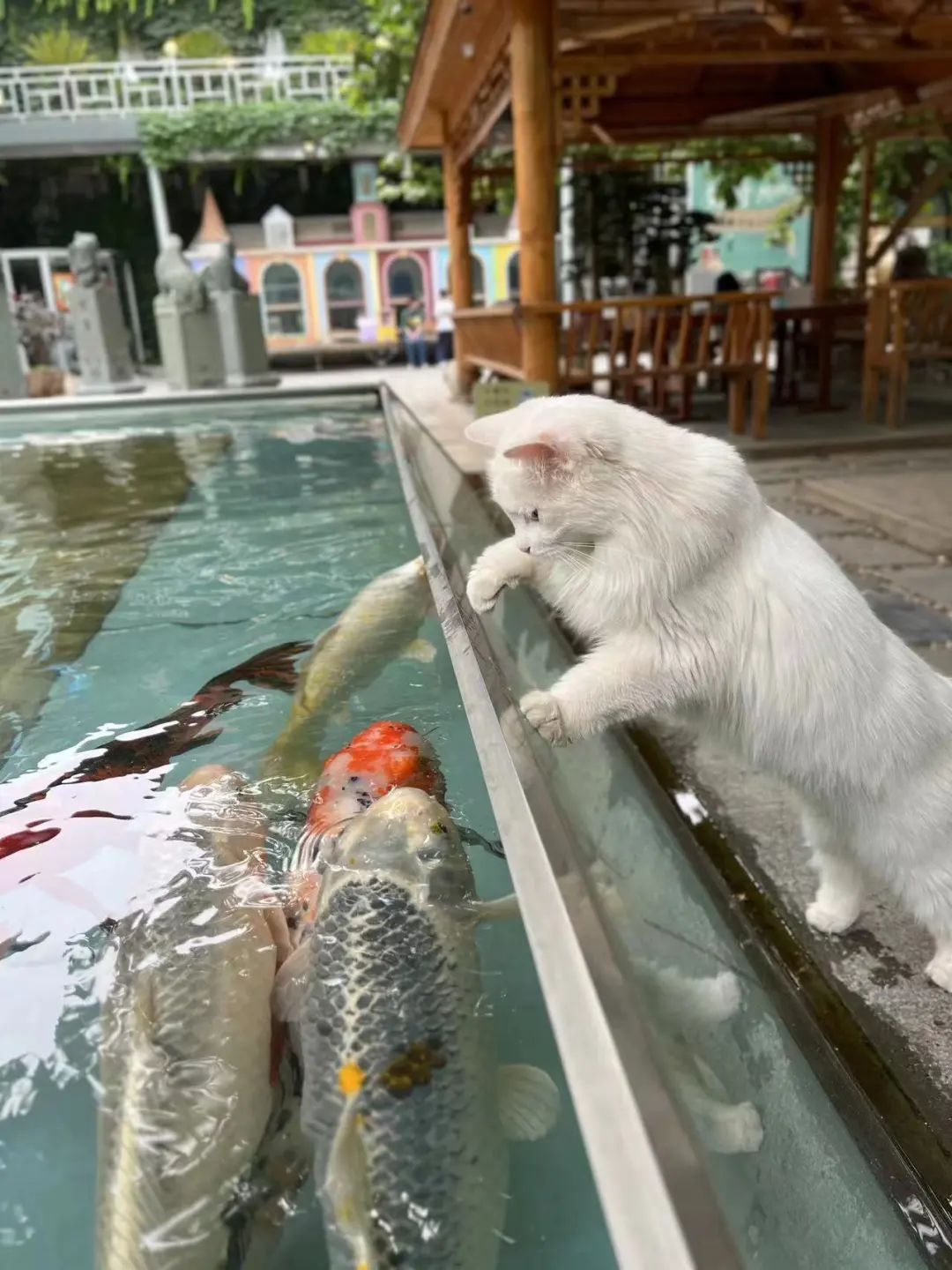 赵明明：上班摸鱼，是我的梦想!