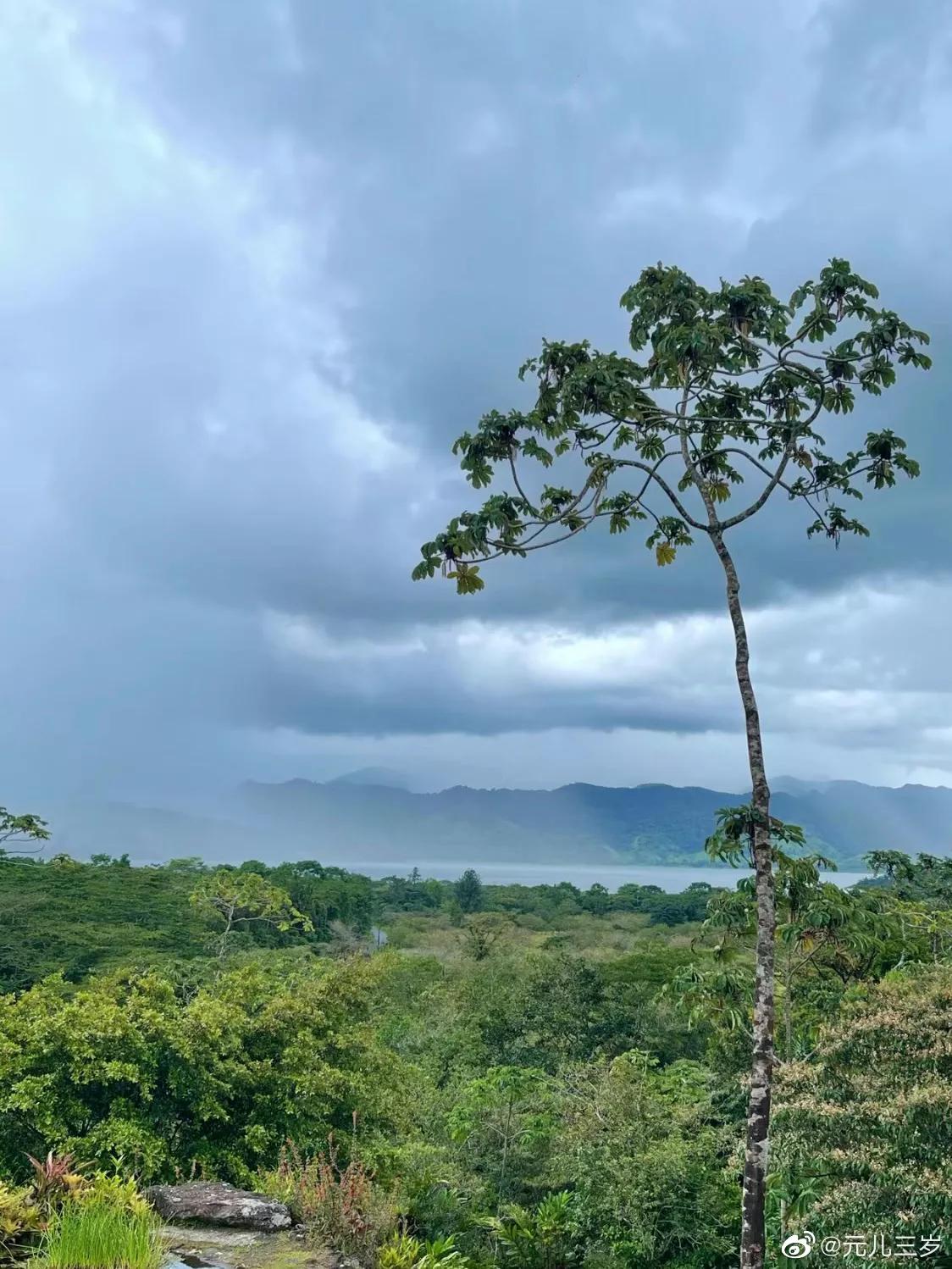 中美洲瑞士哥斯达黎加,中美洲巴拿马哥斯达黎加咖啡