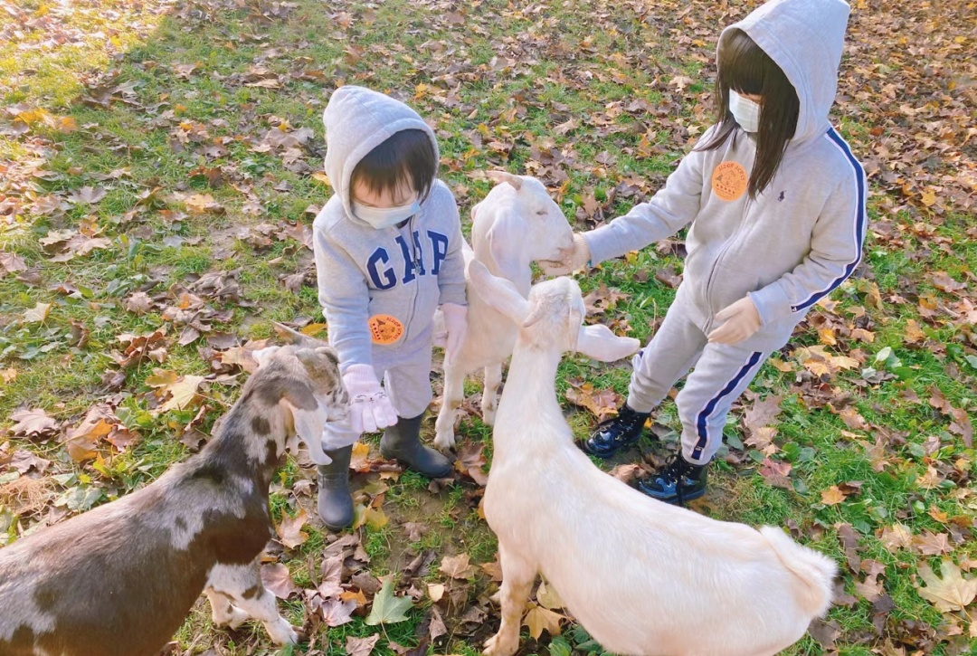 85后Lisa在加拿大：和老公打拼10年，生3娃买3套房，送两娃上私校