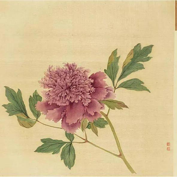 蒋廷锡牡丹画法,蒋廷锡百种牡丹画法