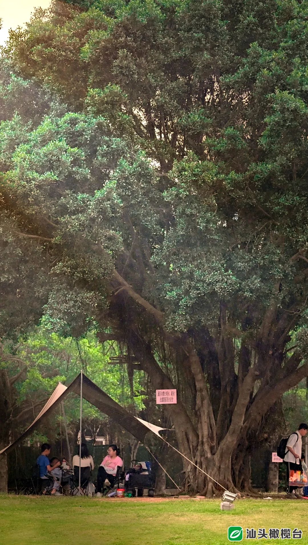 南通搭帐篷露营的好去处,楠溪江轻奢露营营地