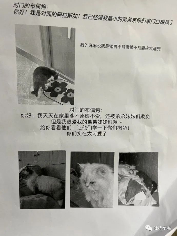 “3W4给女友买战损风上衣...”啊啊啊转身后当场裂开了!