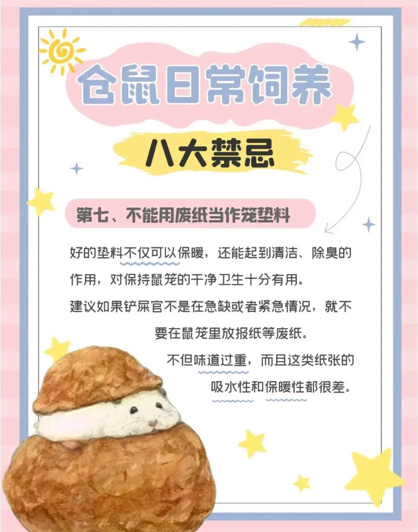 仓鼠的十大禁忌,仓鼠的八大禁忌