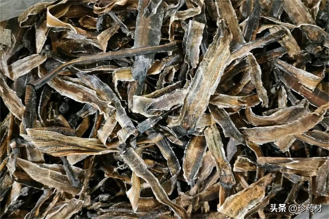 10月10日中药材市场快讯：白及、栀子、夏枯球、枳壳、地龙、八角