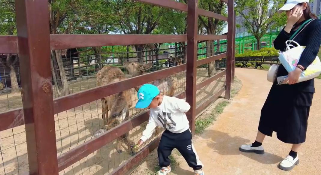 郑州周边网红打卡游玩攻略,适合孩子玩的郑州网红景点打卡地