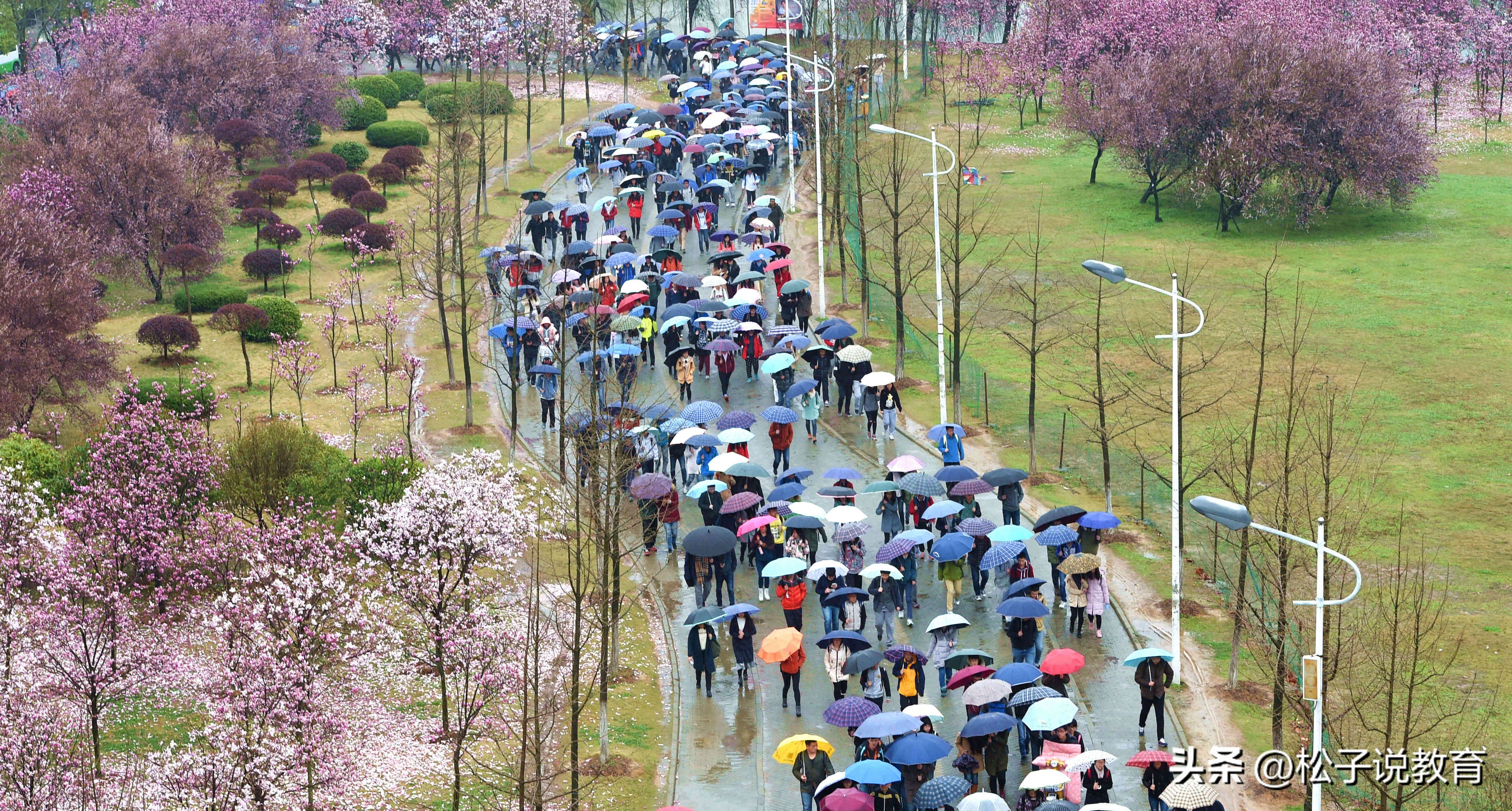 华中科大多少分,华中科大录取分数线2021年