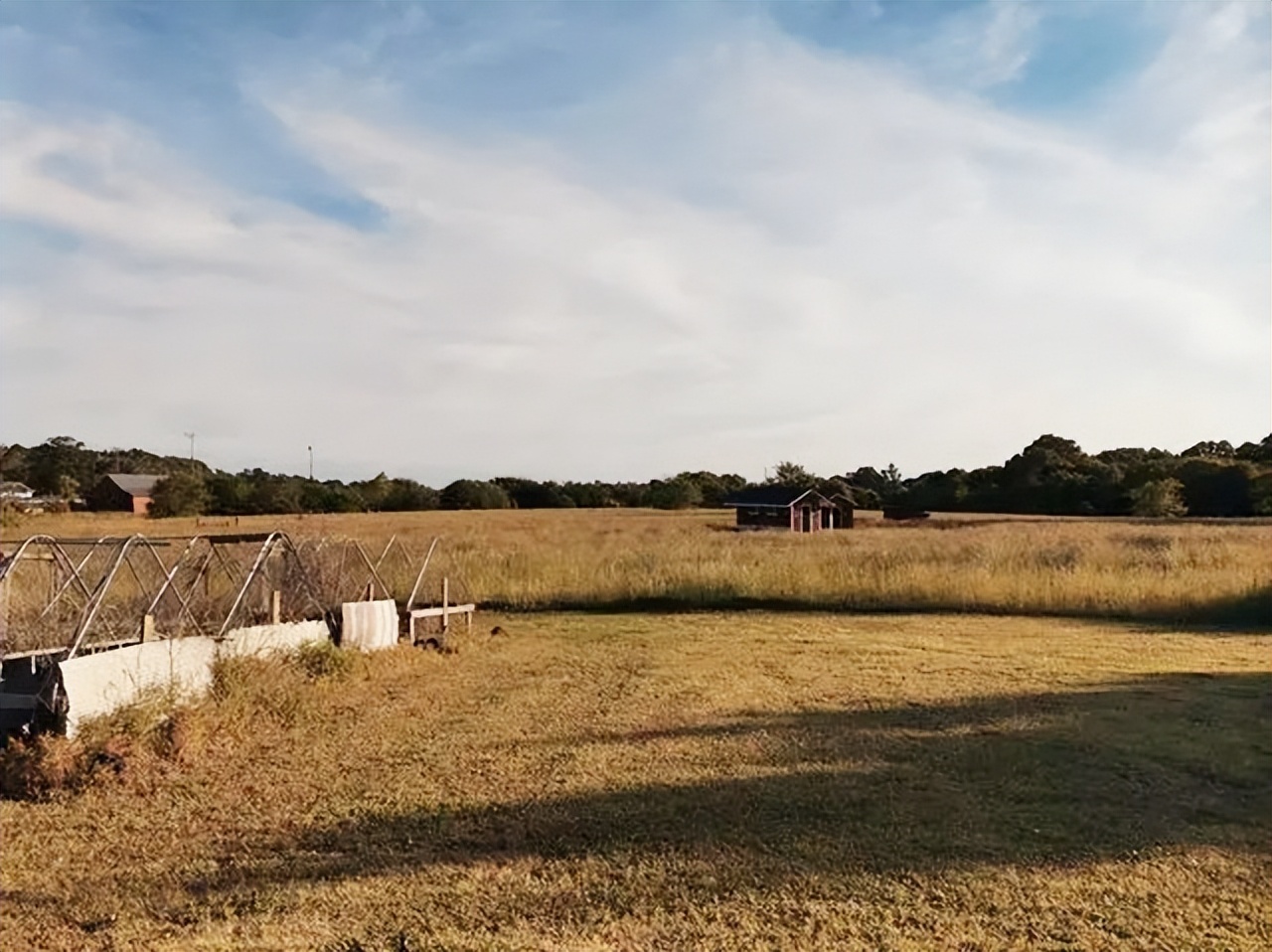 美国女农场主招夫婿 (美国农场主招夫婿)