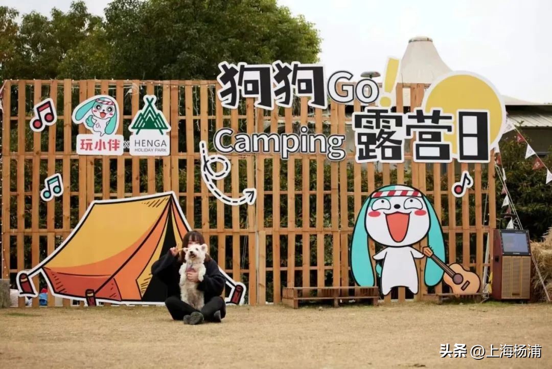 找到一处绝佳完美露营地,强烈推荐露营地