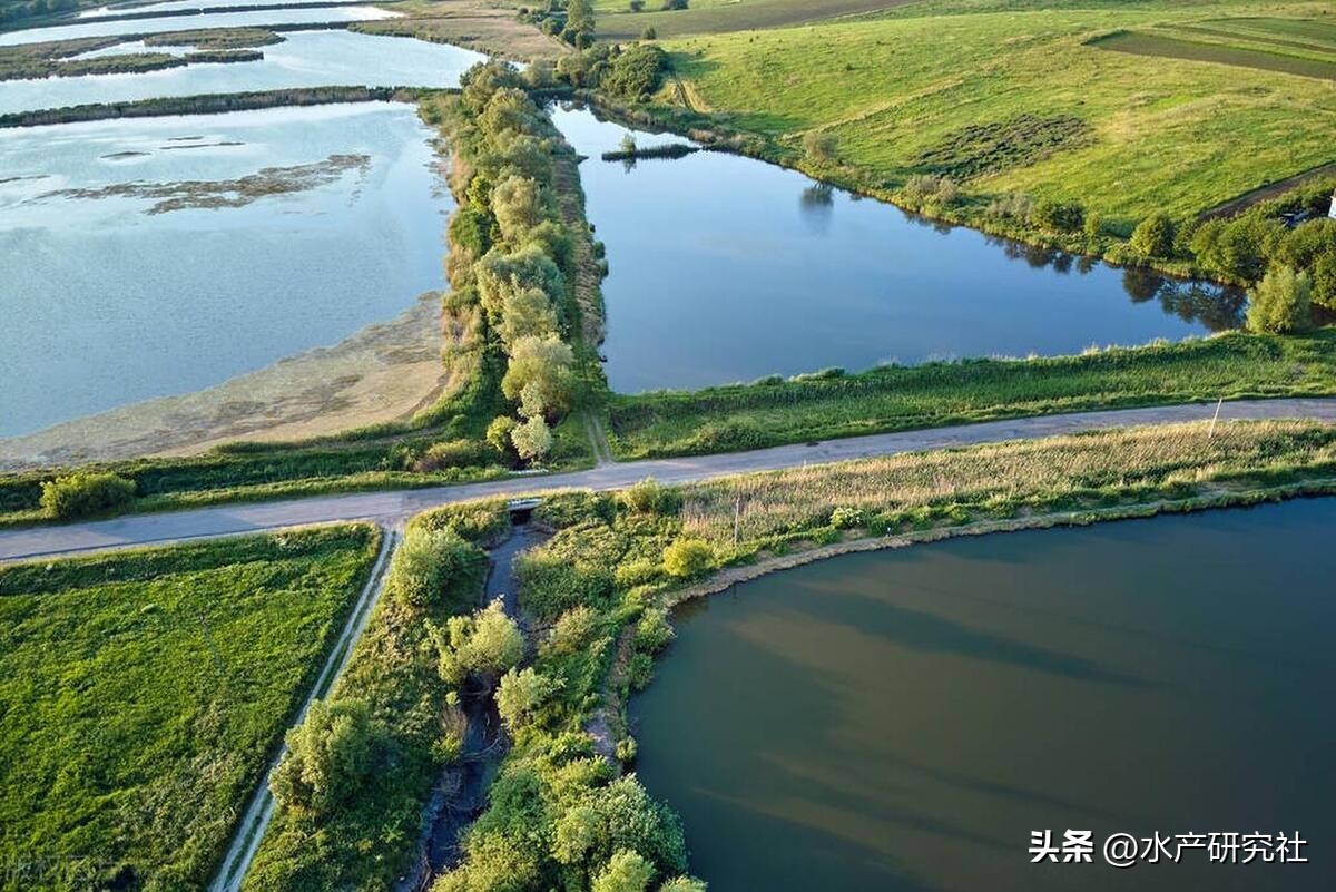 高锰酸钾和高铁酸钾杀菌效果,高锰酸钾与高铁酸钾效果哪个好