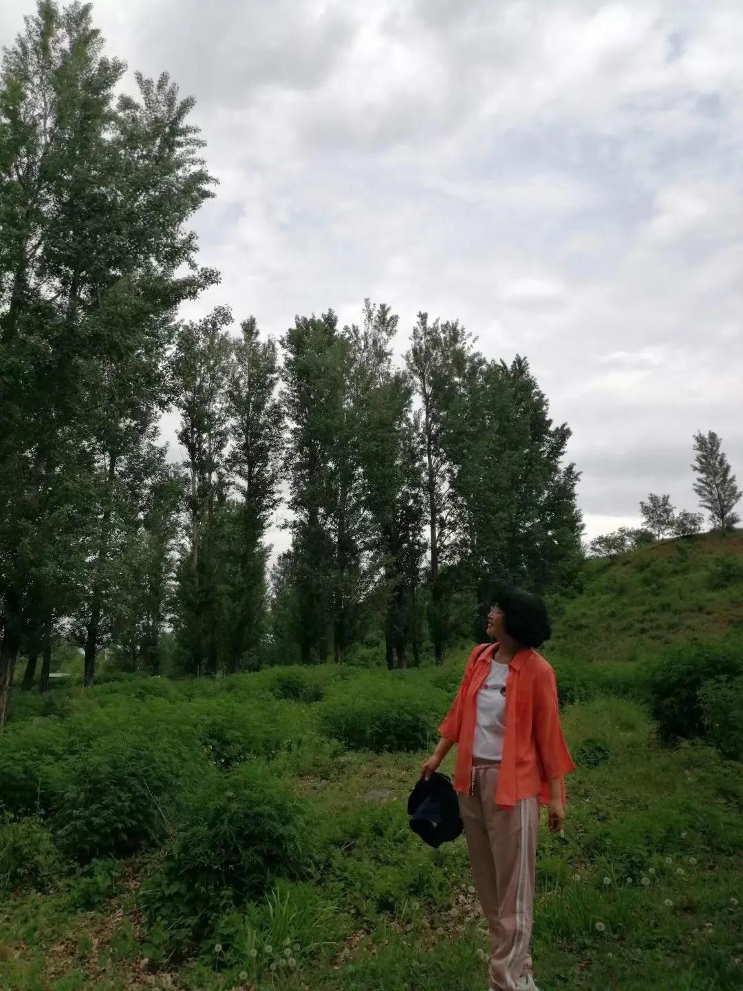 收获在春天里,春天播种秋天收获