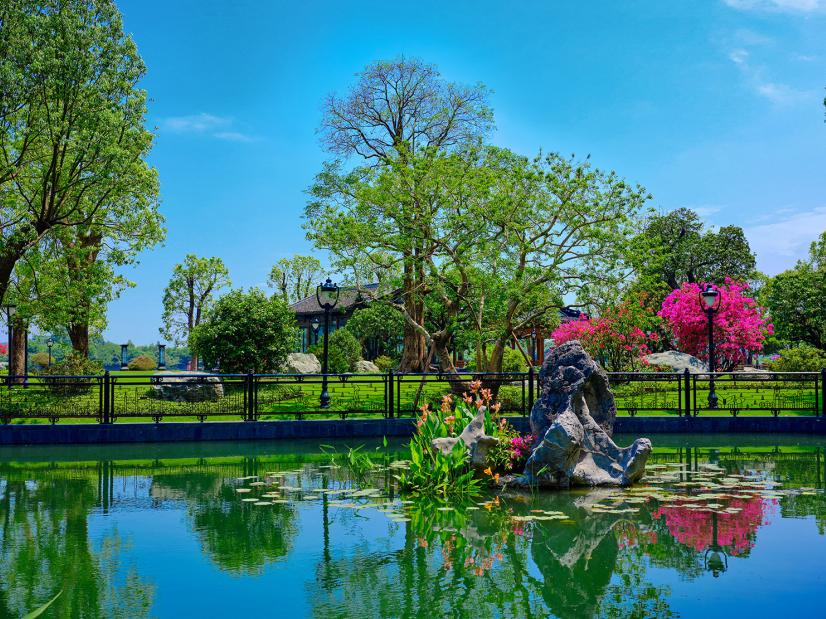 醉美星河湾全景,醉美园林星河湾