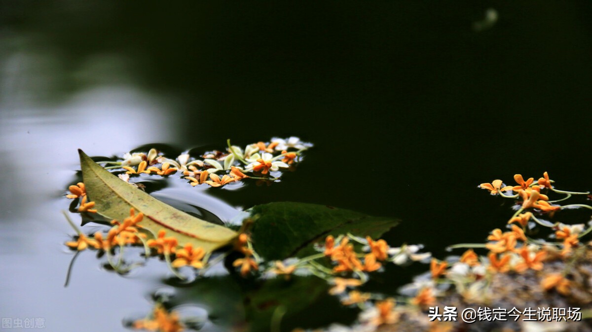 人生赚钱副业,人生赚钱商机