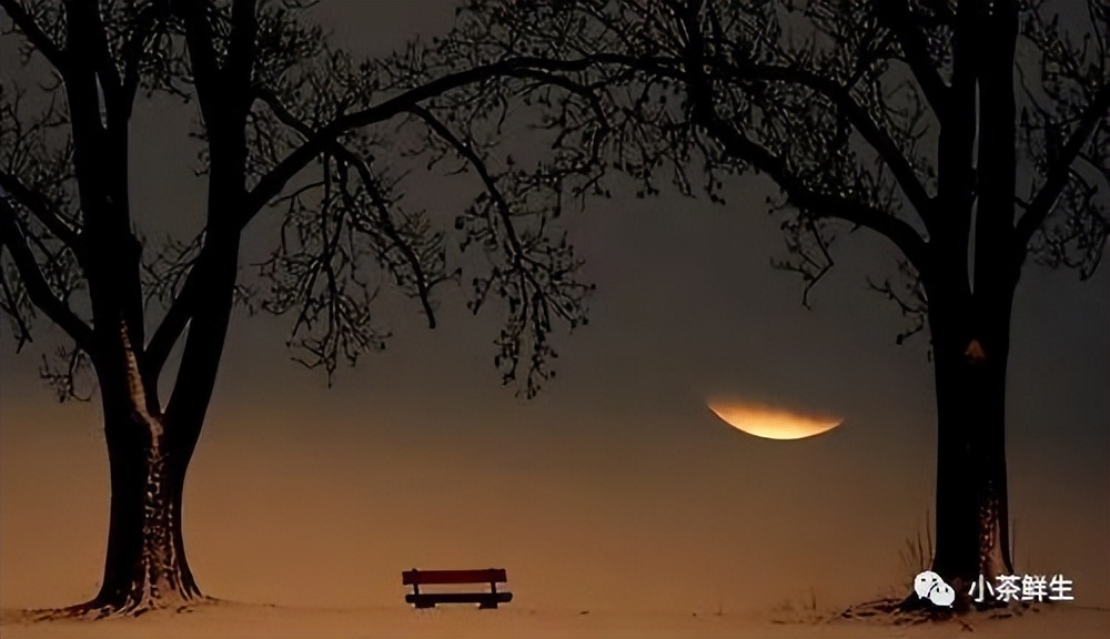 每天学点治愈系心理学,每天学点心理学情绪学