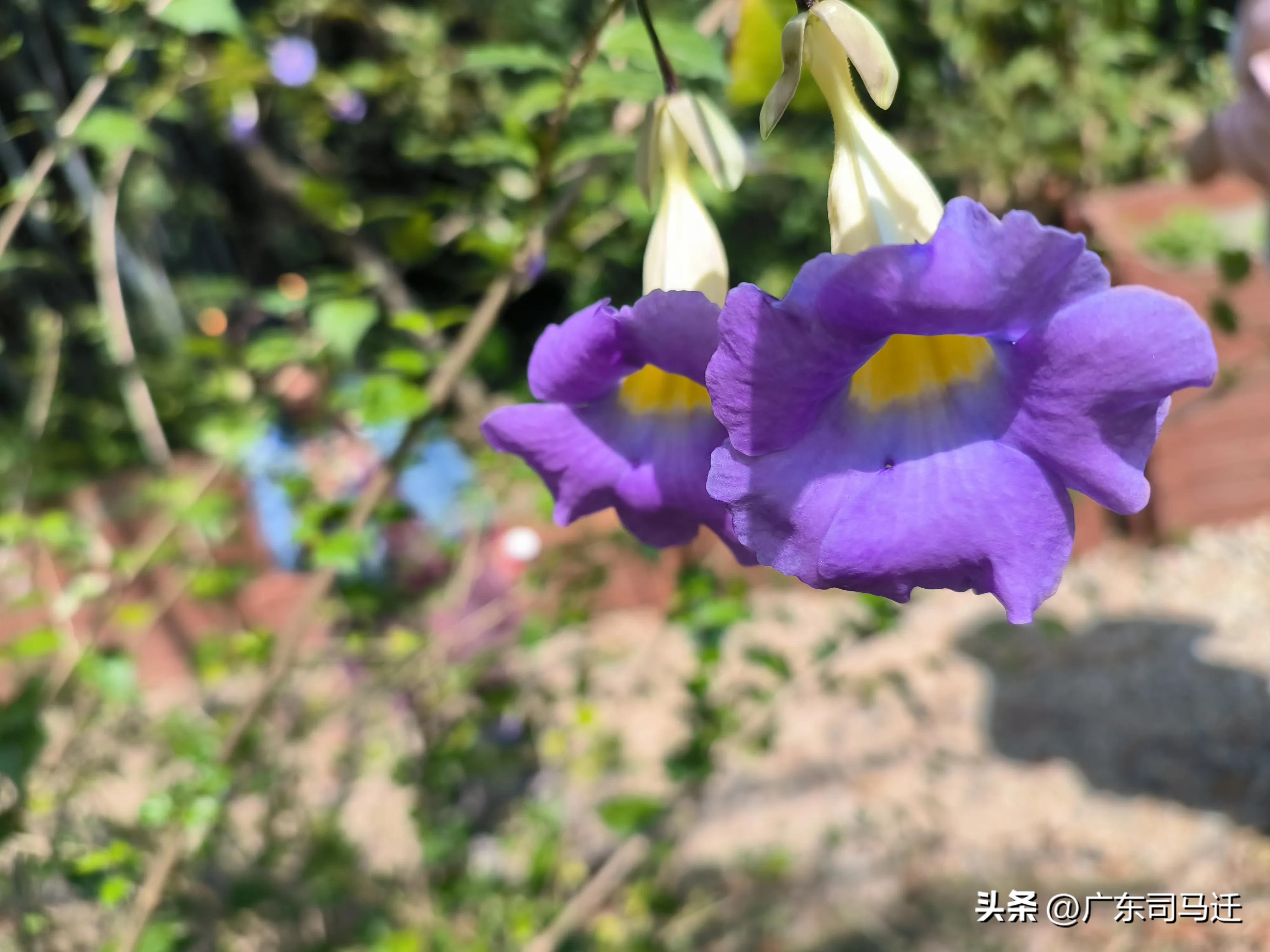 好玩的中山公园,中山公园这儿真美