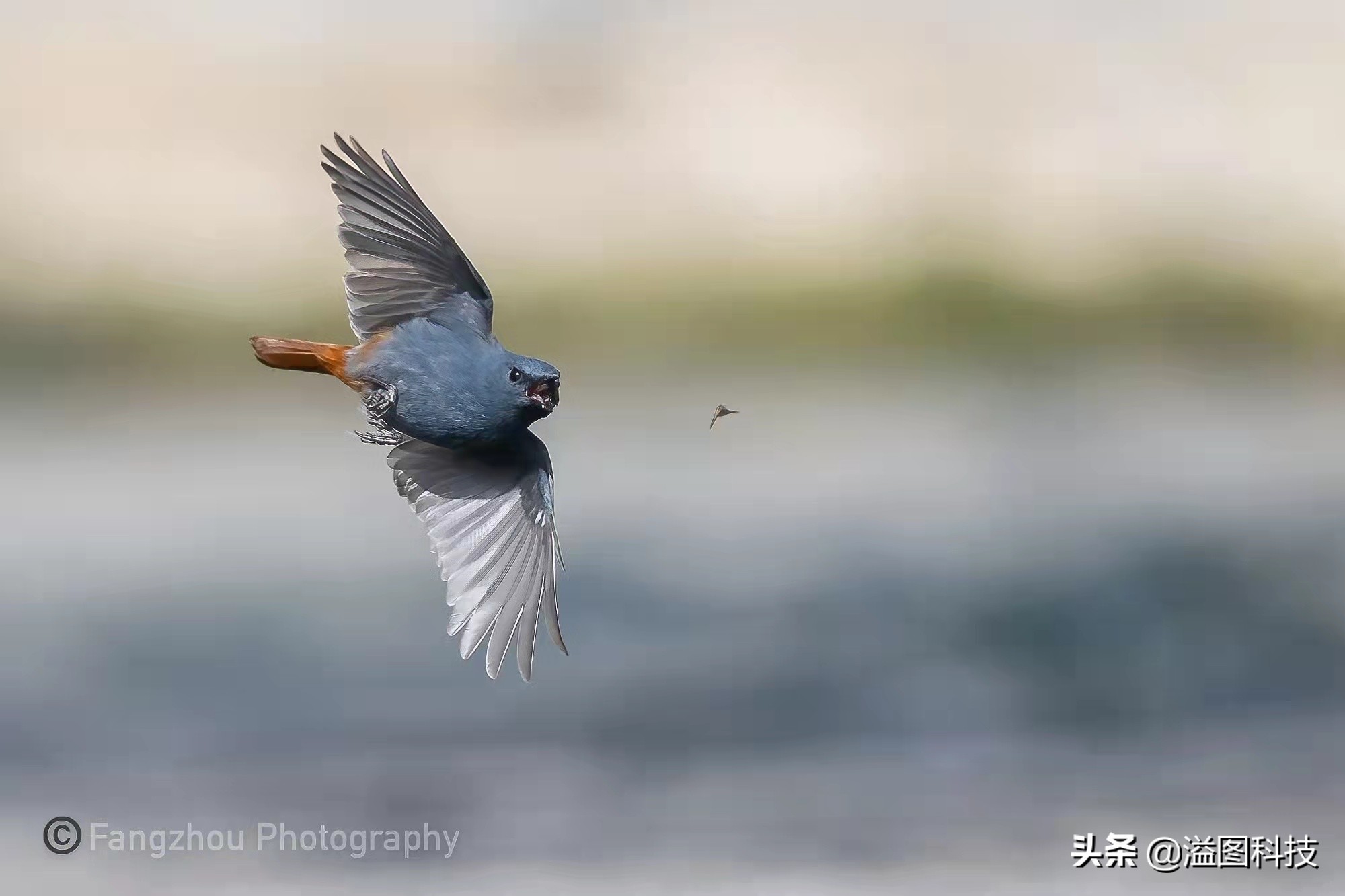 尼康z24-70f2.8,尼康z9旗舰相机详细评测