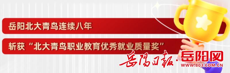 北大青鸟职业技术学校长沙,湖南技工学校北大青鸟