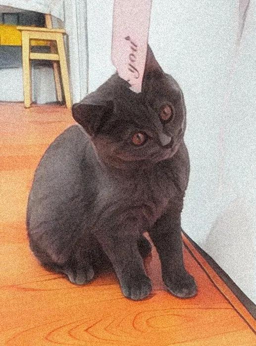 教你把图片变成视频,三分钟教你把图片变文字