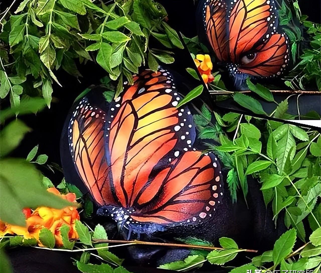 魅力绽放！探索人体艺术的绝美之处