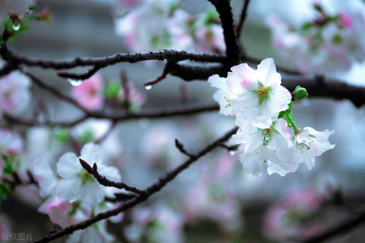 人生有一种境界叫做舍得,人生有一种境界叫留白