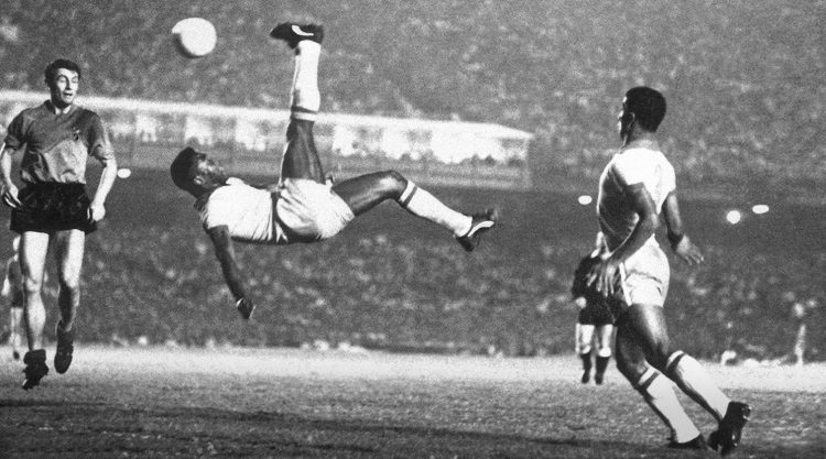 彪马德国官网旗舰店,10万个品牌故事之彪马