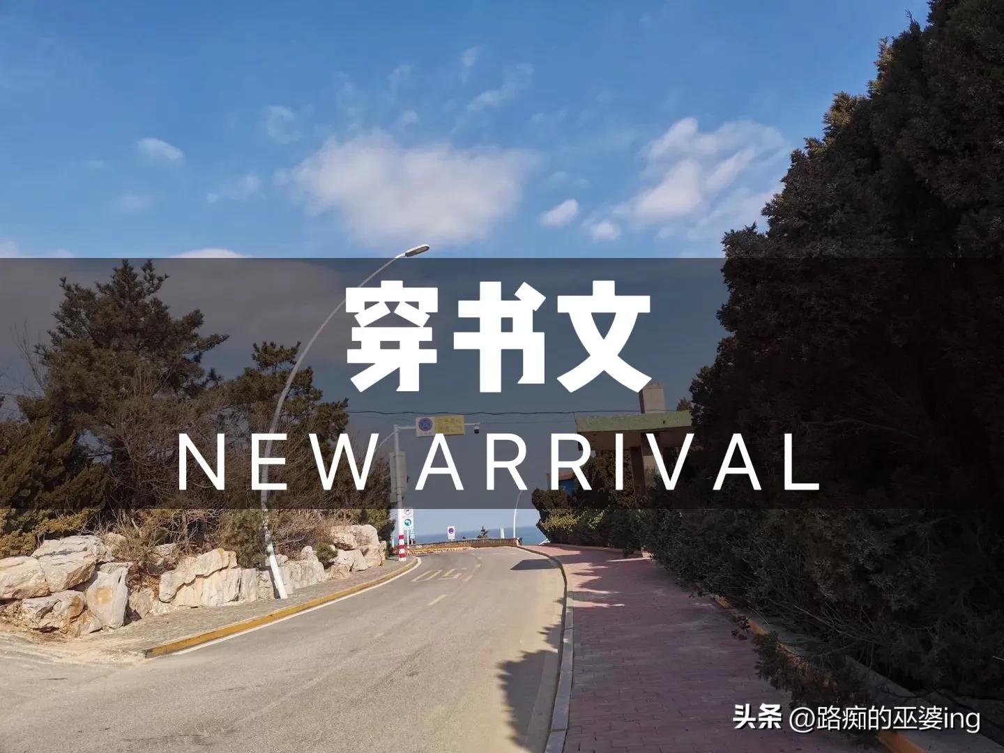 好看的穿书年代文推荐双男主,好看的双男主小说穿书文推荐