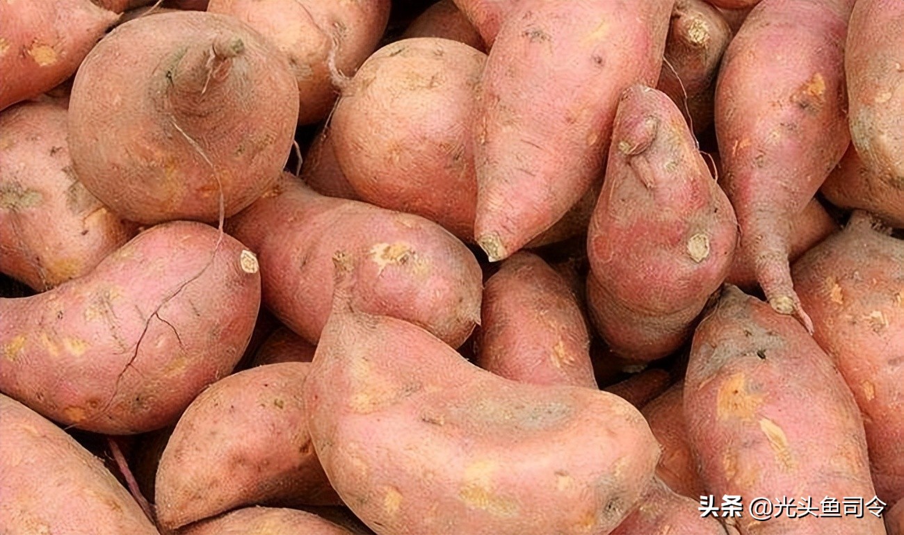 钓鲤鱼用哪种品牌窝料比较好,河里钓鲤鱼草鱼窝料配方制作方法