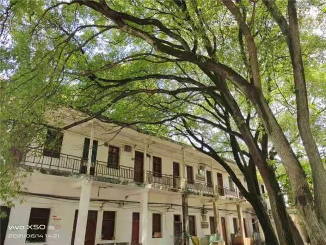 艺术鉴赏网：水利“老二团”的难忘岁月（图文）