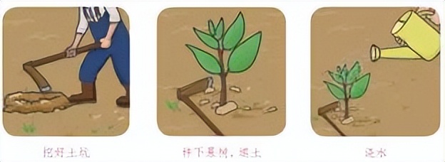 小学寒假劳动清单展示美篇,寒假劳动清单小学