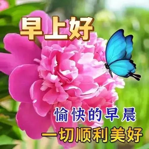 2023年02月27日星期一农历:癸卯年【兔年】二月初八八九第5天