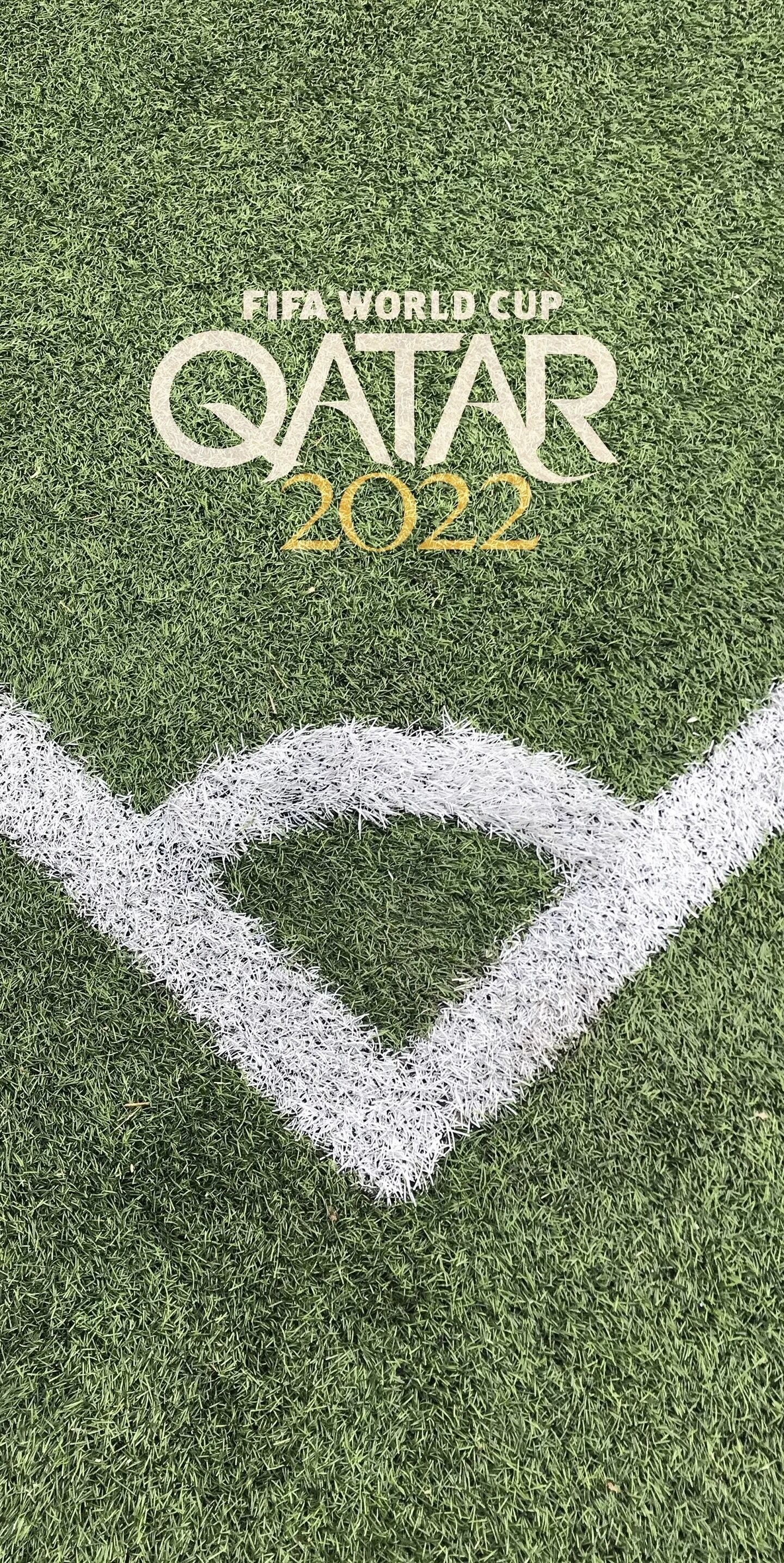 足球小知识世锦赛,足球小知识总结