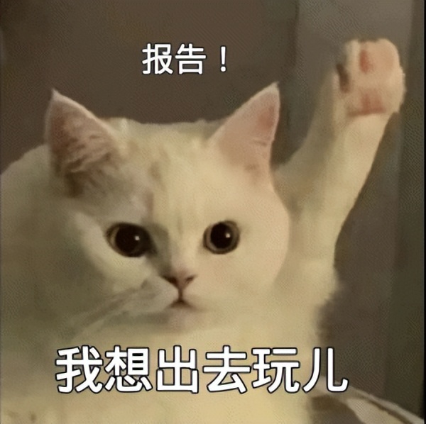 中国留学生近期可以入境日本吗,留学生必看各国最新留学政策改革