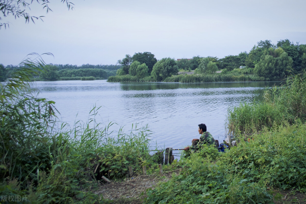红虫挂钩的正确方法朝天钩挂红虫,钓鱼红虫是直接挂钩好还是皮筋好