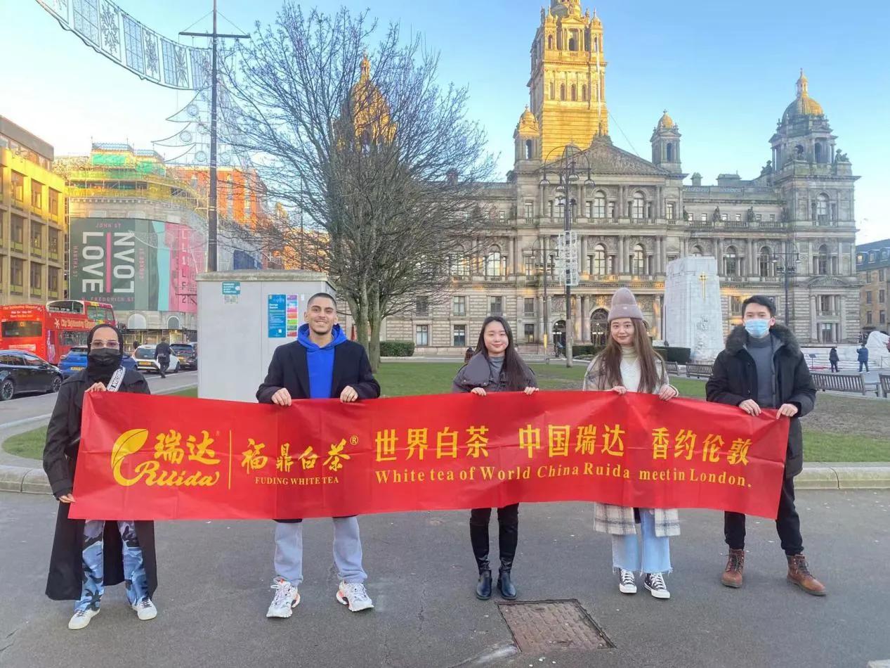 世界白茶在中国中国白茶在福鼎,世界白茶发源地在中国景谷