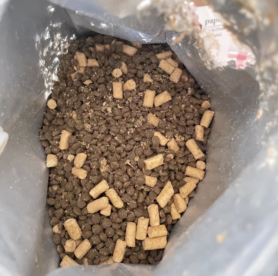 幼猫主食冻干猫粮测评,喵达猫粮猫咪吃了好吗