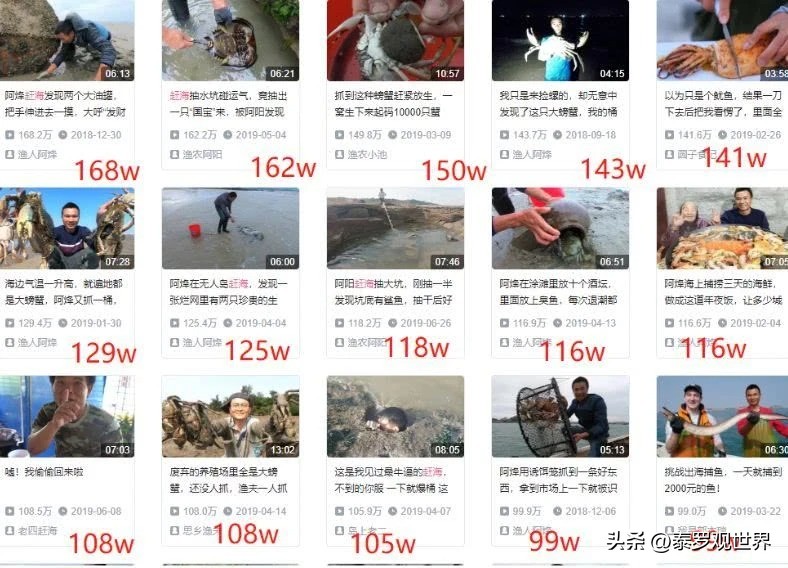 一天挖2000斤海肠？狂赚十几万？无视劝阻赶海，有人因此死亡